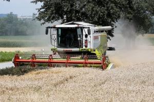 Fermierii francezi au început mai devreme recoltarea grâului