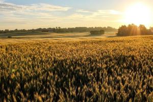 Serbia intră într-o nouă fază de transformare a sectorului agricol