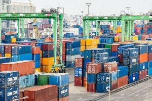 SovEcon crește estimarea exporturilor de grâu din Rusia