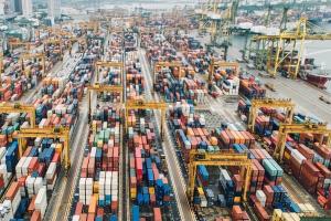 Rusia suspendă taxele la exportul de ulei și șrot de floarea soarelui