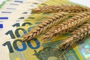 Cerealele MATIF recuperează pierderile în urma deprecierii euro