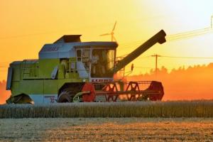 „Roller coaster” în estimările la producția de grâu din Rusia