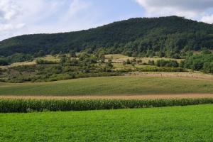 Summer Crop Tour 2025 România – Raportul Național este disponibil
