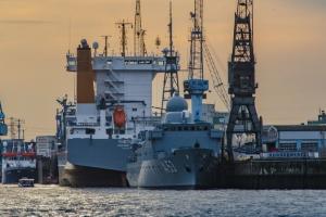 România rămâne cel mai mare exportator de porumb al UE