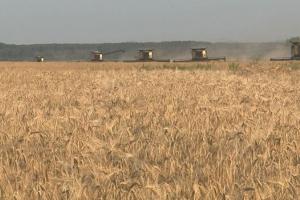 AIDER, Vectr Farms și viziunea lui Arnaud Charmetant despre agricultură