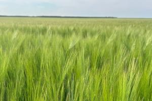 AIDER, Vectr Farms și viziunea lui Arnaud Charmetant despre agricultură