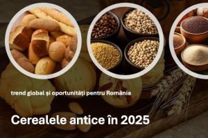 Cerealele antice în 2025: trend global și oportunități pentru România