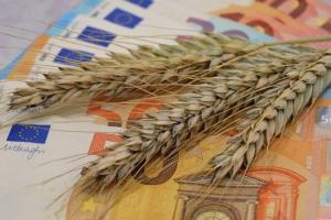 Fermierii francezi refuză să vândă grâul sub 190 EUR/t