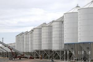Surplus de grâu francez, cu exporturi crescute dar stocuri încă uriașe