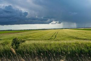 Asigurarea multi-risc, scutul fermierilor la schimbările climatice