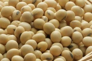 După eliminarea taxelor de export, China cumpără soia din Argentina