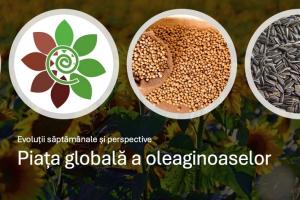 Piața globală a oleaginoaselor