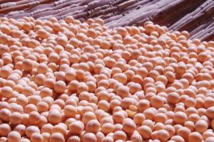 India achiziționează un volum record de ulei de soia din Argentina