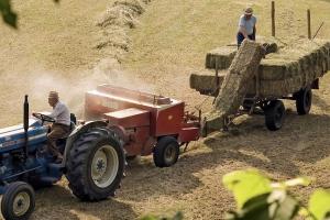 APIA finalizează plățile pentru renta viageră agricolă 2024