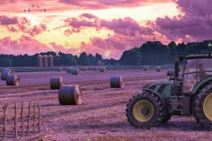 APIA: plata rentei viagere agricole - autorizată