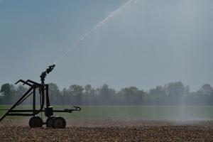 ANIF lansează licitație pentru lucrări de irigații