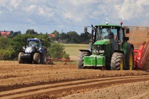 Evoluții contrastante în recolte și exporturi de cereale