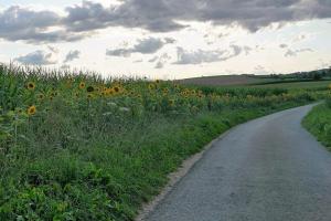 AFIR: Investiții pentru creșterea rezilienței și sustenabilității fermelor