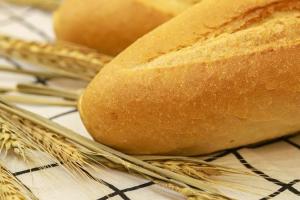 OAIC din Algeria a achiziționat grâu durum din Canada și SUA