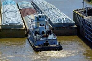 Recoltele record de grâu din Australia și Argentina presează prețurile