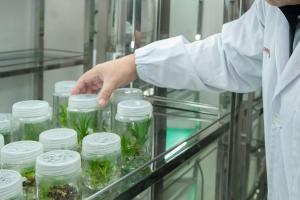 Norofert duce agricultura regenerativă din România în America de Sud  