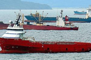 Scădere a încrederii în noua agenție din Egipt care importă grâu Scădere a încrederii în noua agenție din Egipt care importă grâu