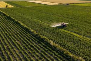 Piața îngrășămintelor rămâne volatilă, sub presiune sezonieră Piața îngrășămintelor rămâne volatilă, sub presiune sezonieră