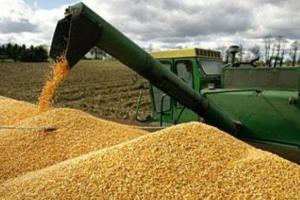 OAIC plătește 258,50 USD/t, o stabilizare pentru grâul de măcinat OAIC plătește 258,50 USD/t, o stabilizare pentru grâul de măcinat