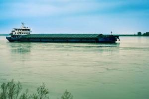 Exporturile de grâu rusesc continuă să domine piața globală Exporturile de grâu rusesc continuă să domine piața globală