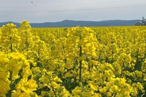 Povești de succes și decizii care fac diferența în fermele din România