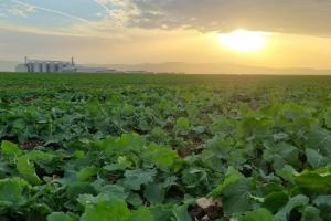 Povești de succes și decizii care fac diferența în fermele din România