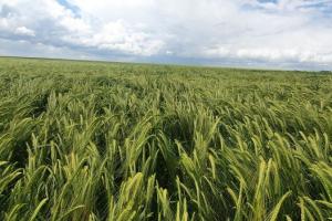 Povești de succes și decizii care fac diferența în fermele din România