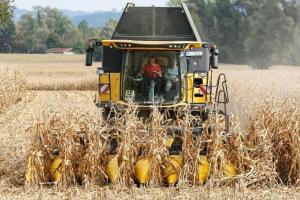 Porumbul MATIF urcă, susținut de exporturile reduse din Ucraina