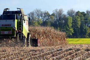 Recoltele sud-americane pot schimba jocul pe piața porumbului