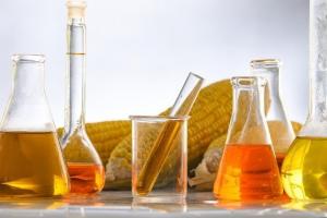 De la surplusul de cereale, la cererea de biocombustibil pe piața UE