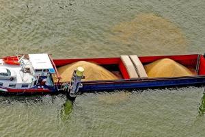 Algeria a cumpărat grâu de măcinat de la Marea Neagră