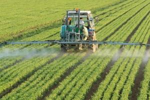 Volatilitate pe piața îngrășămintelor și echilibru fragil între regiuni