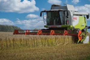 Producție record la grâul din Argentina în acest sezon