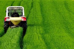 Cerere puternică de uree în România, prețuri de aprox. 500 USD/t CFR