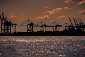 Incendiu la macaraua de încărcare cereale din Dana 80, Port Constanța