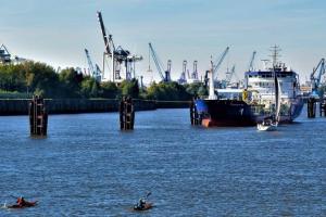 Importatorii sud-coreeni sunt pe piață pentru porumb furajer