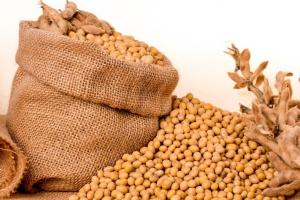 Cererea puternică impulsionează prețurile la soia ucraineană