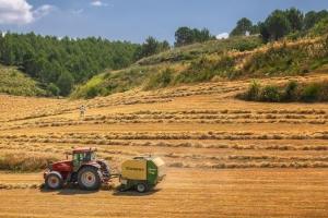 Canada atinge un nou record istoric la producția de grâu în 2025