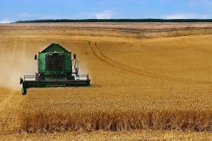 Cotațiile pentru grâu Matif - sub presiune la final de an