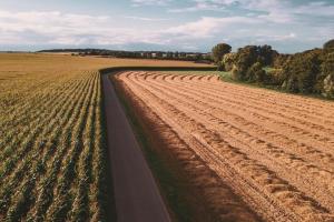 Fermierii din România spun „nu” noilor tehnici genomice