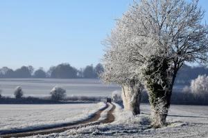 Vremea de sărbători și impactul asupra agriculturii