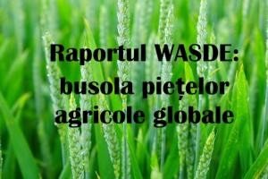 Ce este raportul WASDE și de ce mișcă piața agricolă la nivel global?