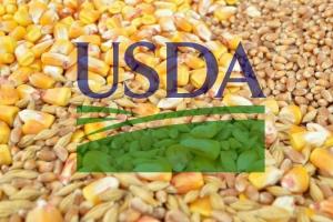 Porumbul și soia sub presiune după revizuirile USDA din ianuarie