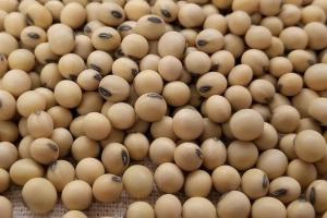 Scăderea CBOT declanșează cerere puternică de import în Asia