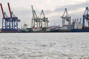 Estimări reduse la exportul de grâu rusesc pentru luna ianuarie 